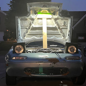 Meet your Posher, Audrey